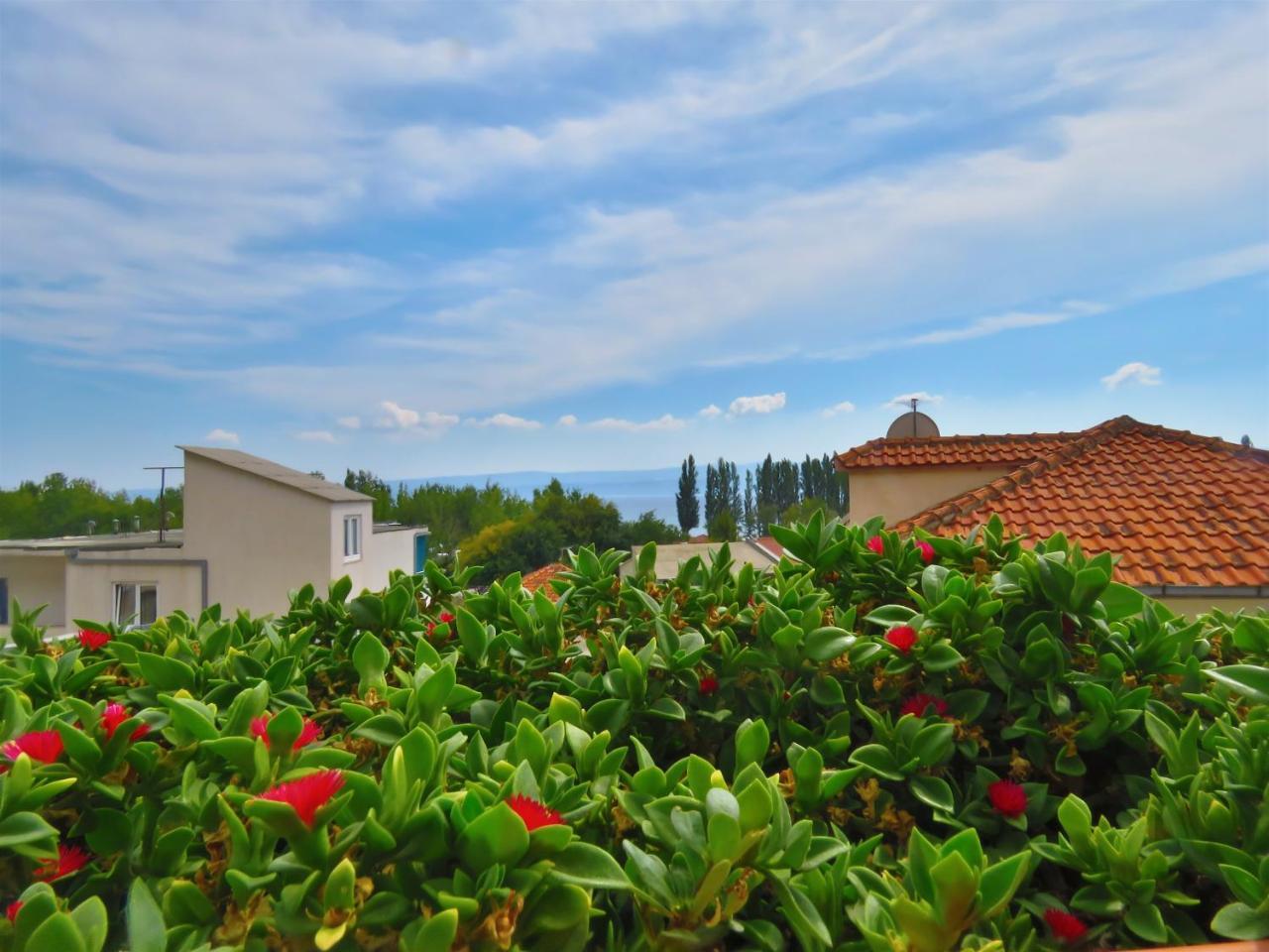 Apartments Zvone Omis Exterior photo
